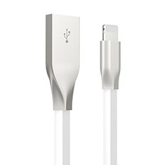 Apple iPad 10.2 (2020)用USBケーブル 充電ケーブル C05 アップル ホワイト