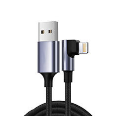 Apple iPad 10.2 (2020)用USBケーブル 充電ケーブル C10 アップル ブラック