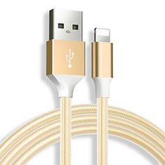 Apple iPad 10.2 (2020)用USBケーブル 充電ケーブル D04 アップル ゴールド