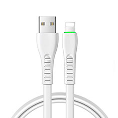 Apple iPad 10.2 (2020)用USBケーブル 充電ケーブル D20 アップル ホワイト