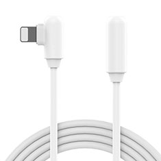Apple iPad Air 10.9 (2020)用USBケーブル 充電ケーブル D22 アップル ホワイト