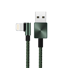 Apple iPad Air用USBケーブル 充電ケーブル D19 アップル グリーン