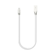 Apple iPad Mini 5 (2019)用USBケーブル 充電ケーブル C06 アップル ホワイト