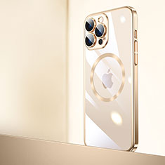 Apple iPhone 14 Pro用ハードカバー クリスタル クリア透明 Mag-Safe 磁気 Magnetic QC2 アップル ゴールド