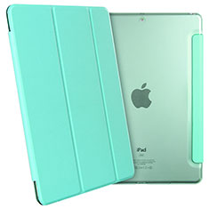 Apple New iPad 9.7 (2018)用手帳型 レザーケース スタンド アップル グリーン