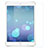 Apple iPad Mini 2用強化ガラス 液晶保護フィルム F01 アップル クリア
