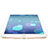 Apple iPad Mini用強化ガラス 液晶保護フィルム F01 アップル クリア