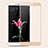 Xiaomi Mi Max用強化ガラス フル液晶保護フィルム F03 Xiaomi ホワイト