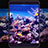 Xiaomi Mi Pad 2用強化ガラス 液晶保護フィルム T03 Xiaomi クリア