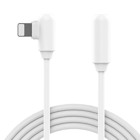 Apple iPad 10.2 (2020)用USBケーブル 充電ケーブル D22 アップル ホワイト