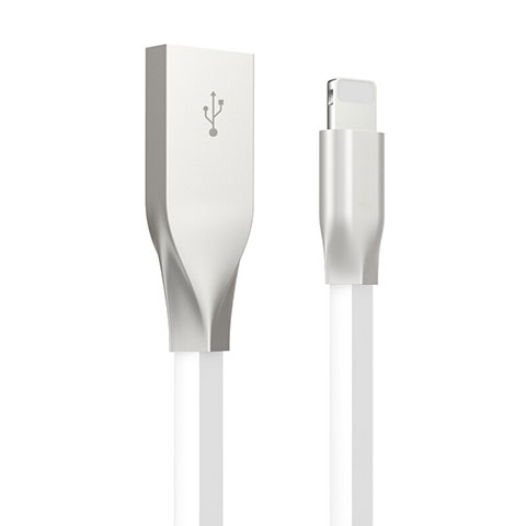 Apple iPad Mini 5 (2019)用USBケーブル 充電ケーブル C05 アップル ホワイト