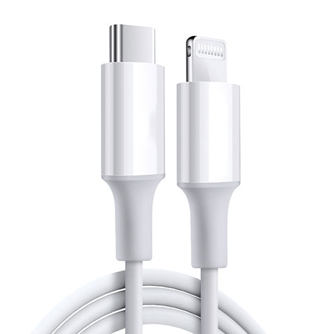Apple iPad Pro 11 (2020)用USBケーブル 充電ケーブル C02 アップル ホワイト
