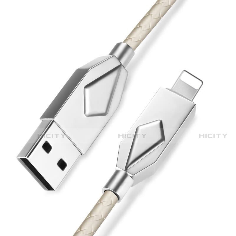 Apple iPad 10.2 (2020)用USBケーブル 充電ケーブル D13 アップル シルバー