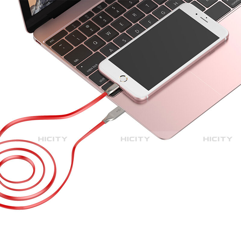 Apple iPad 10.2 (2020)用USBケーブル 充電ケーブル C05 アップル 