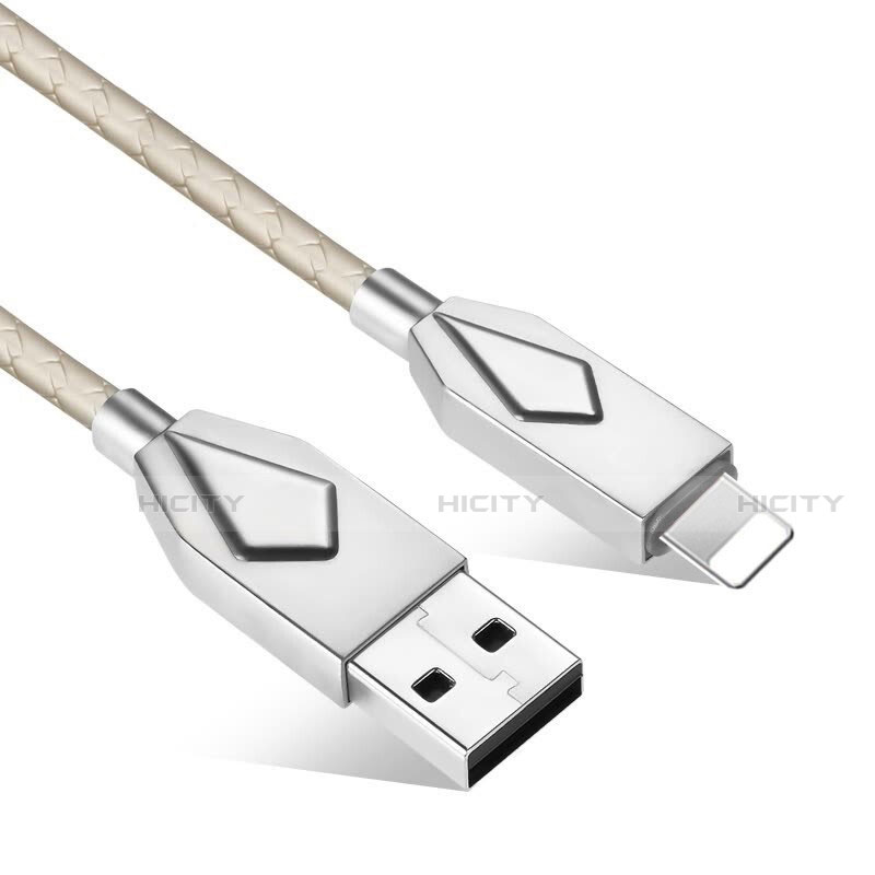 Apple iPad Air 10.9 (2020)用USBケーブル 充電ケーブル D13 アップル シルバー