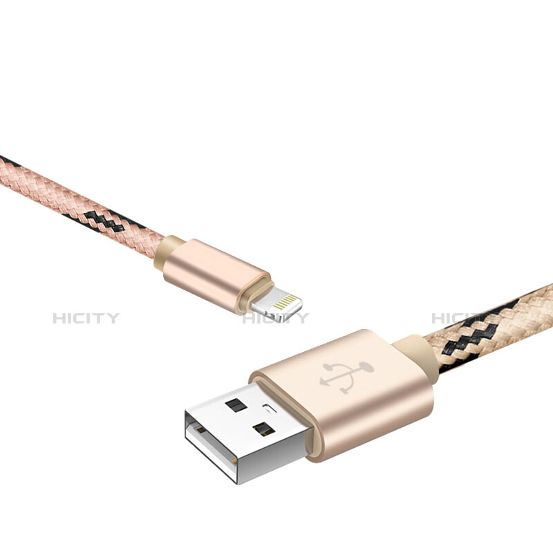 Apple iPad Air 3用USBケーブル 充電ケーブル L10 アップル ゴールド