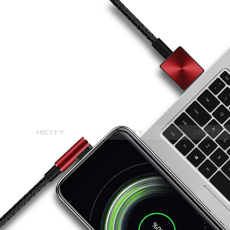 Apple iPad Air 4 10.9 (2020)用USBケーブル 充電ケーブル D19 アップル 