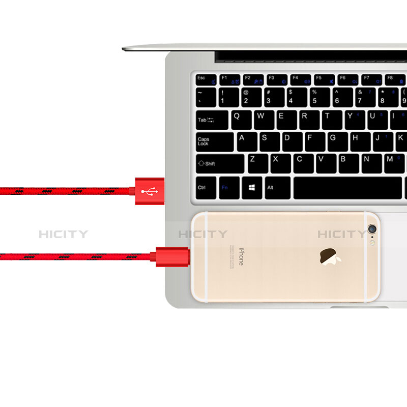 Apple iPad Air用USBケーブル 充電ケーブル L10 アップル レッド