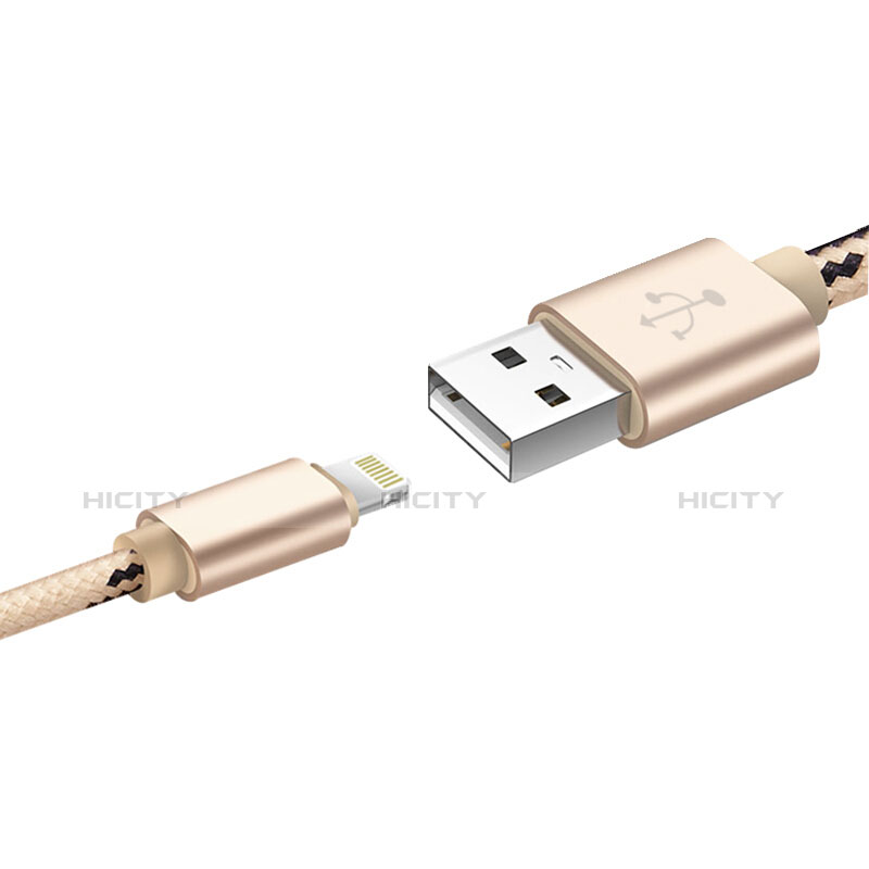 Apple iPad Mini 5 (2019)用USBケーブル 充電ケーブル L10 アップル ゴールド
