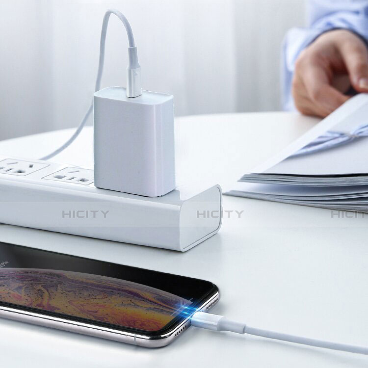 Apple iPad Mini 5 (2019)用USBケーブル 充電ケーブル C02 アップル ホワイト