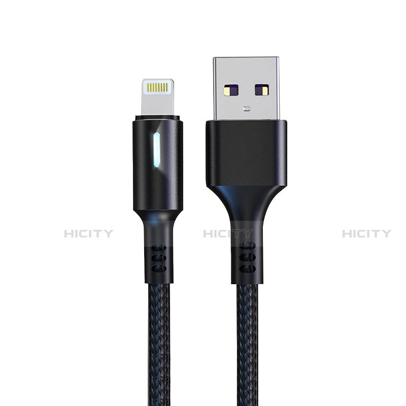Apple iPad Mini用USBケーブル 充電ケーブル D21 アップル ブラック