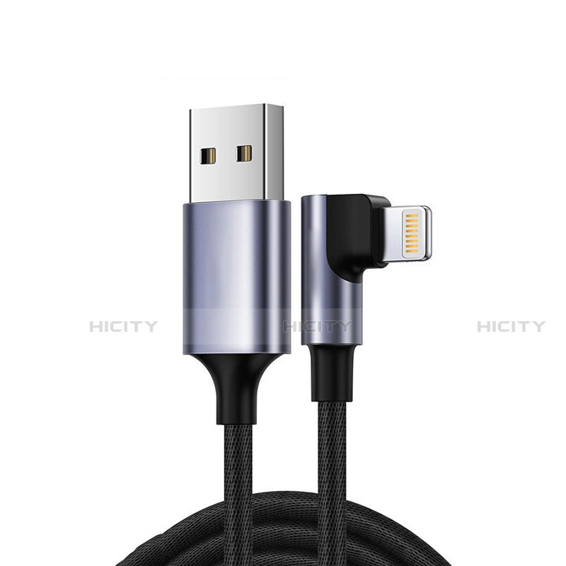 Apple iPad Pro 11 (2020)用USBケーブル 充電ケーブル C10 アップル ブラック
