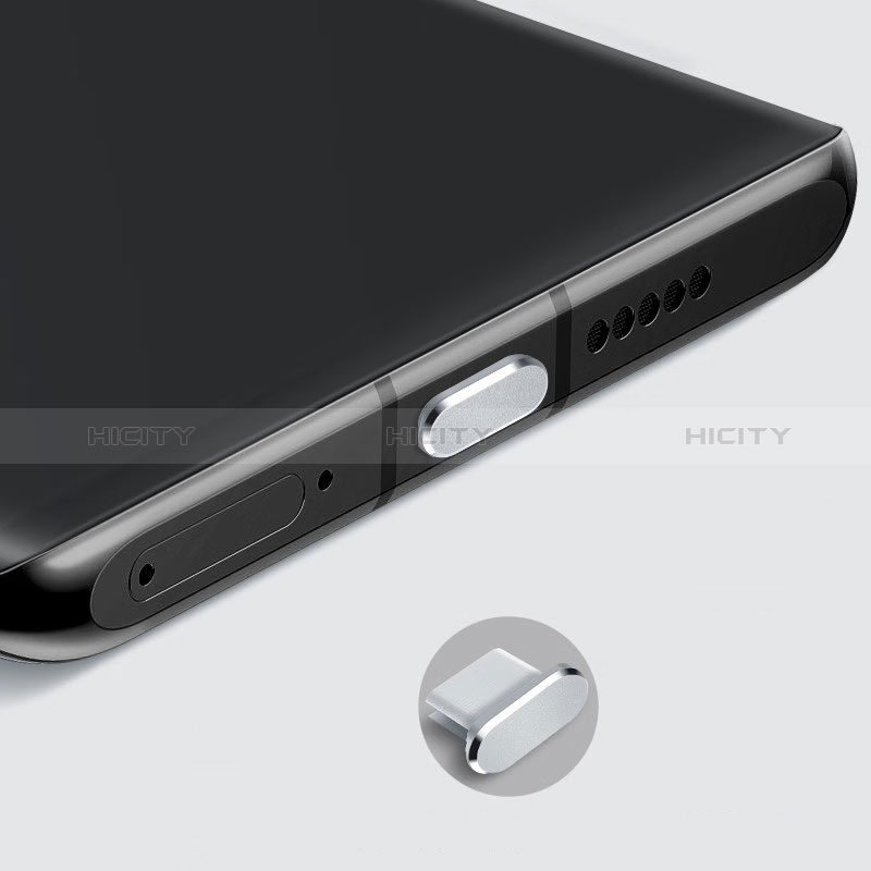 Apple iPad Pro 11 (2021)用アンチ ダスト プラグ キャップ ストッパー USB-C Android Type-Cユニバーサル H08 アップル シルバー