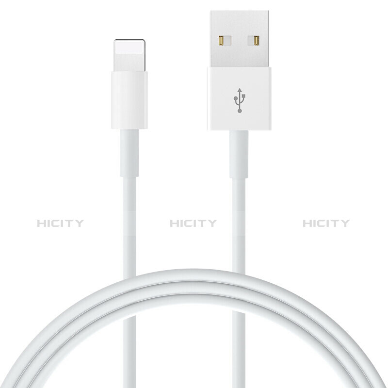 Apple iPad Pro 12.9 (2018)用USBケーブル 充電ケーブル L09 アップル ホワイト