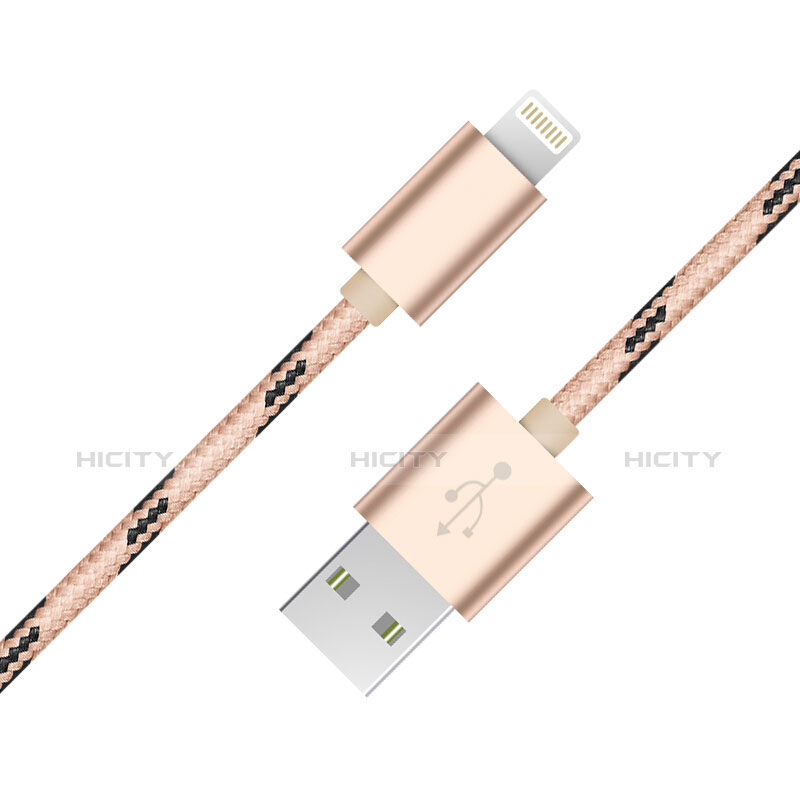 Apple iPhone 11 Pro用USBケーブル 充電ケーブル L10 アップル ゴールド