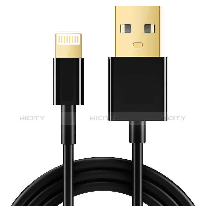 Apple iPhone 11 Pro Max用USBケーブル 充電ケーブル L12 アップル ブラック