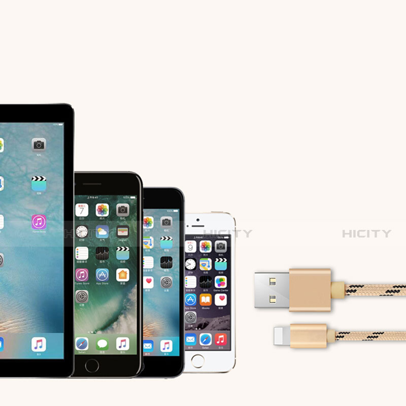 Apple iPhone 12用USBケーブル 充電ケーブル L05 アップル ゴールド