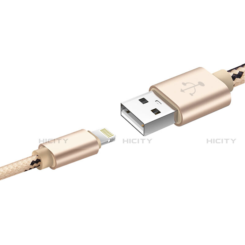 Apple iPhone 12 Max用USBケーブル 充電ケーブル L10 アップル ゴールド