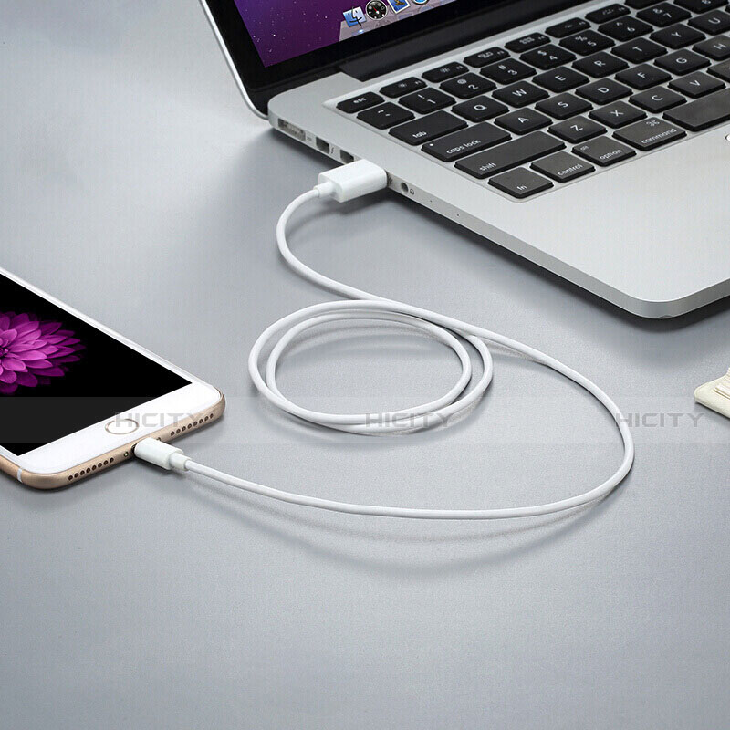Apple iPhone 12 Max用USBケーブル 充電ケーブル D12 アップル ホワイト