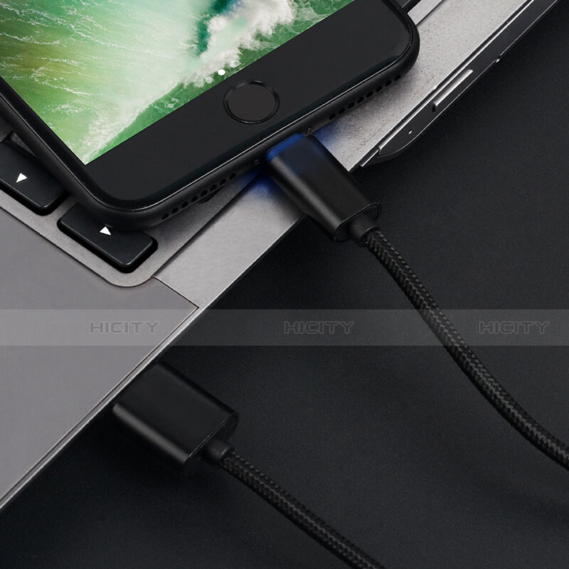 Apple iPhone 12 Pro Max用USBケーブル 充電ケーブル L13 アップル ブラック