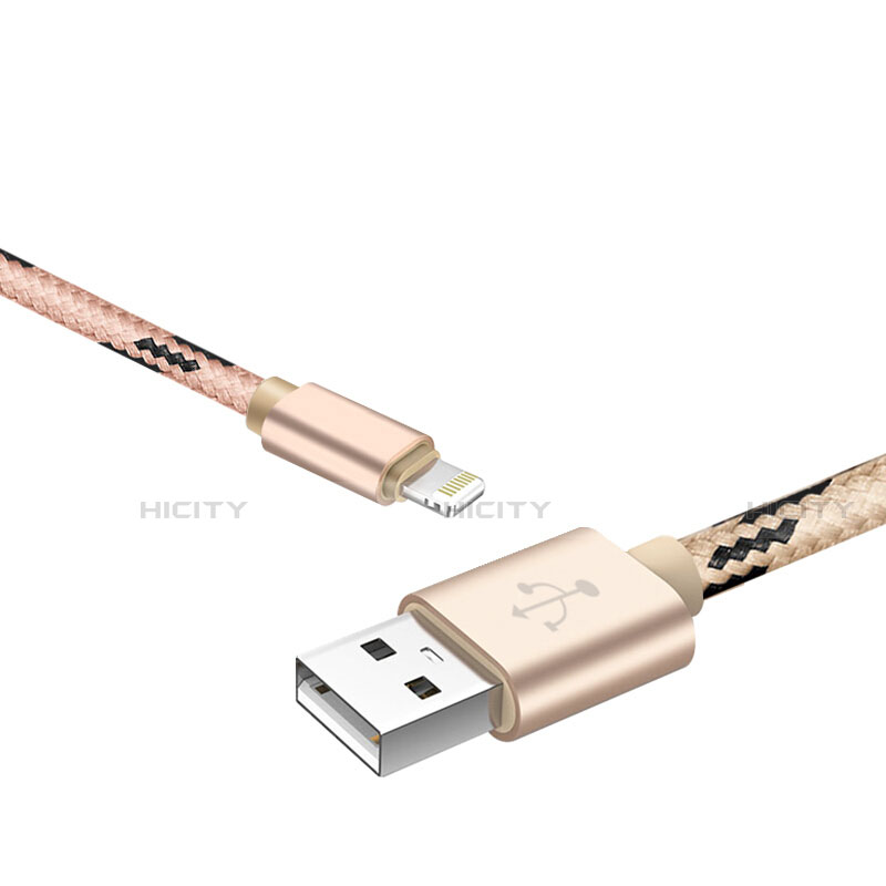 Apple iPhone 14用USBケーブル 充電ケーブル L10 アップル ゴールド