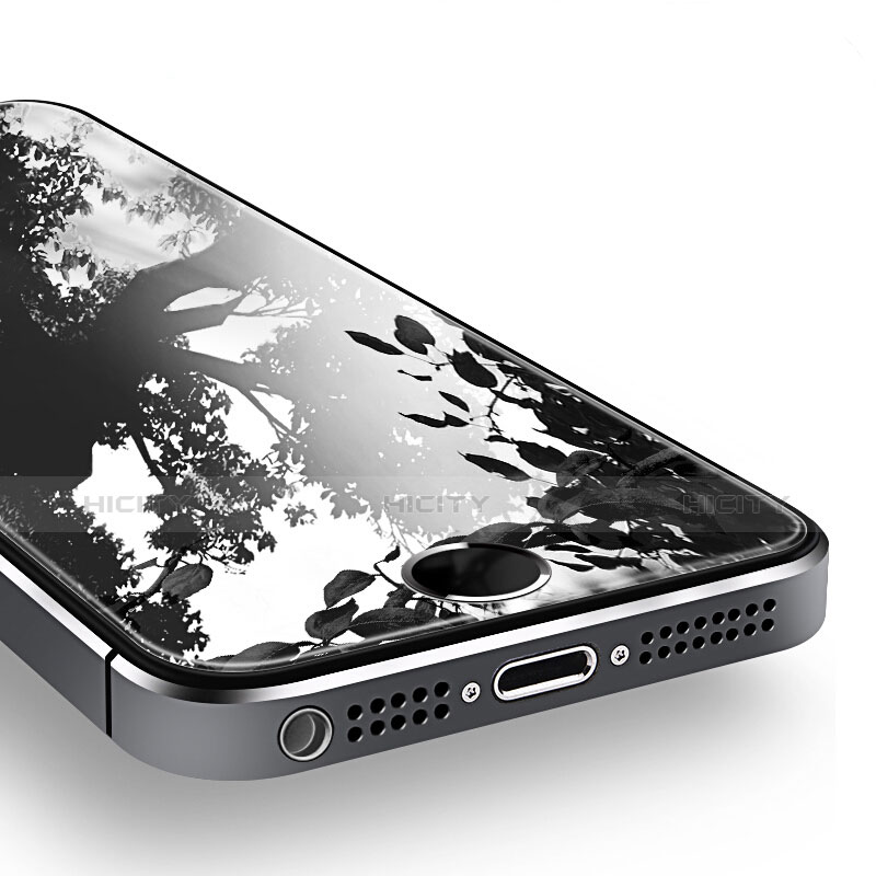 Apple iPhone 5用強化ガラス 液晶保護フィルム T02 アップル クリア