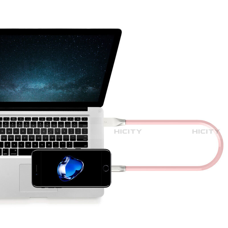 Apple iPhone 5S用USBケーブル 充電ケーブル C06 アップル 