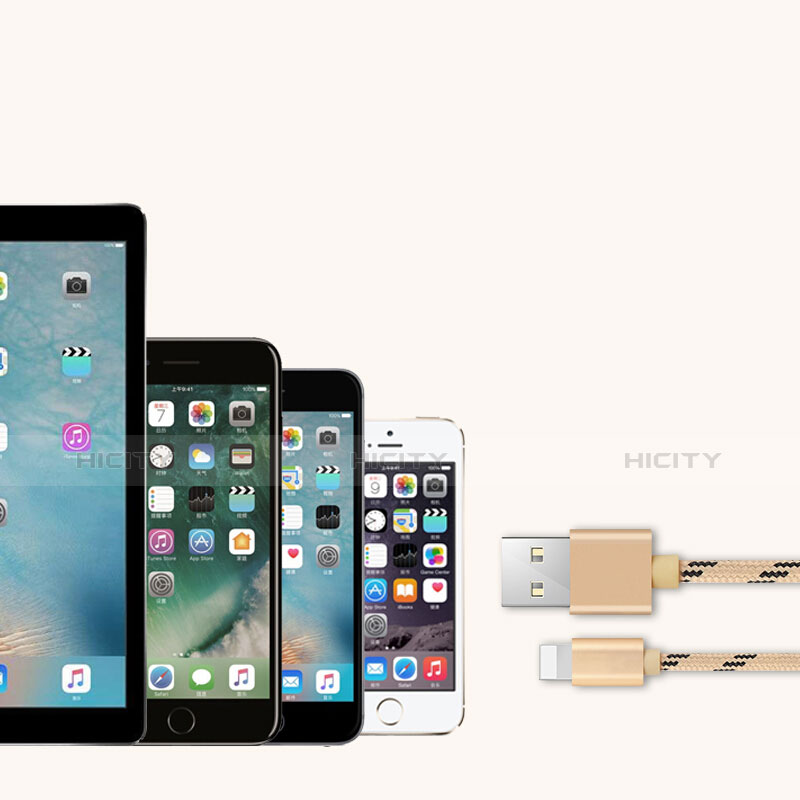 Apple iPhone 6S用USBケーブル 充電ケーブル L05 アップル ゴールド