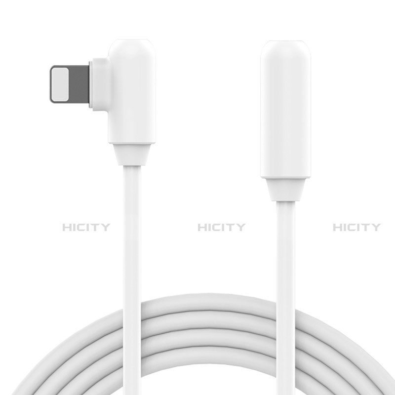 Apple iPhone SE (2020)用USBケーブル 充電ケーブル D22 アップル ホワイト