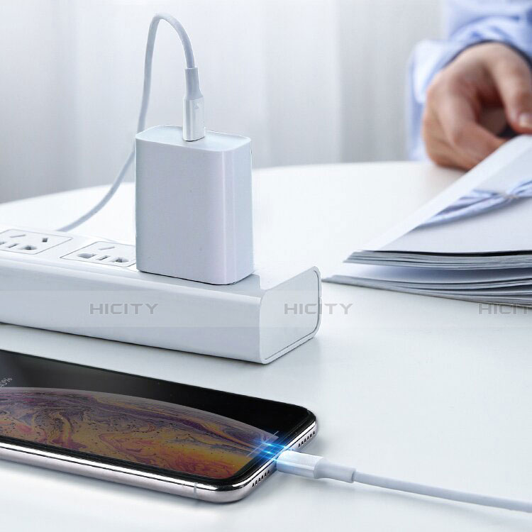 Apple iPhone SE (2020)用USBケーブル 充電ケーブル C02 アップル ホワイト