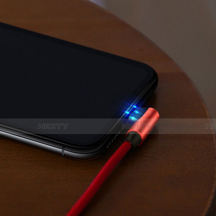 Apple iPhone SE (2020)用USBケーブル 充電ケーブル C10 アップル 