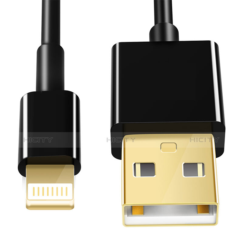Apple iPhone SE用USBケーブル 充電ケーブル L12 アップル ブラック
