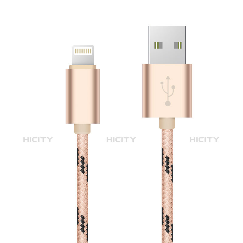 Apple iPhone X用USBケーブル 充電ケーブル L10 アップル ゴールド