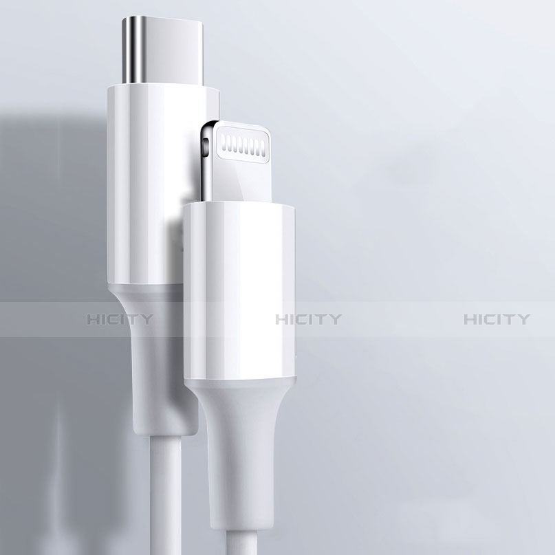 Apple iPhone Xs用USBケーブル 充電ケーブル C02 アップル ホワイト
