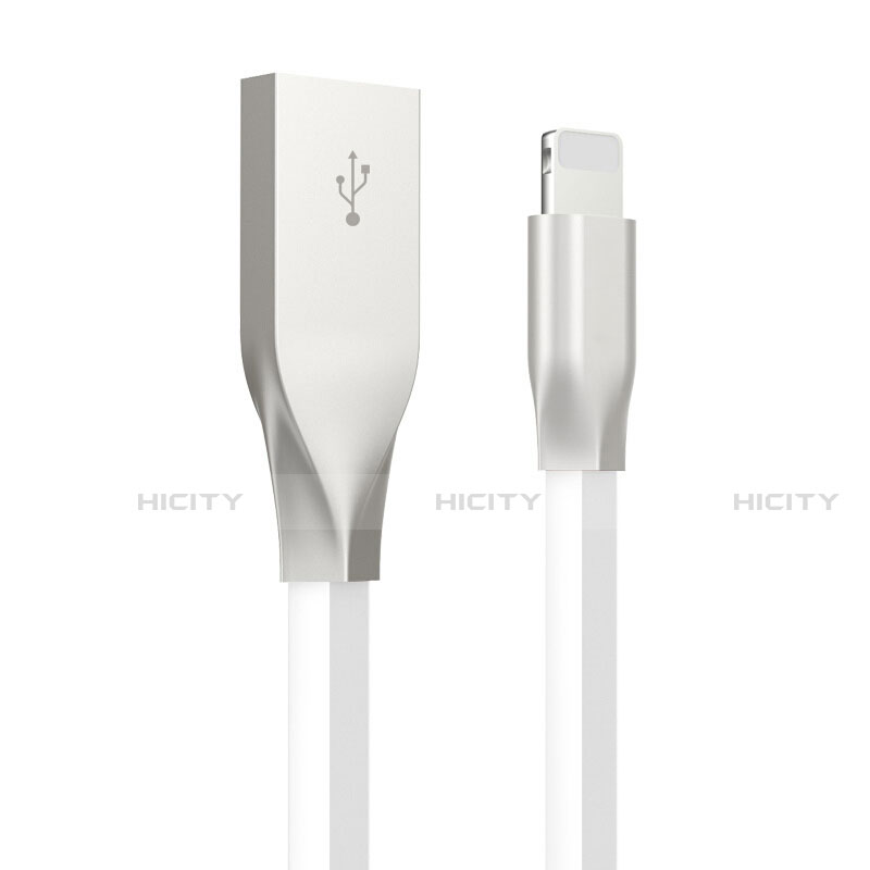 Apple iPhone Xs用USBケーブル 充電ケーブル C05 アップル ホワイト