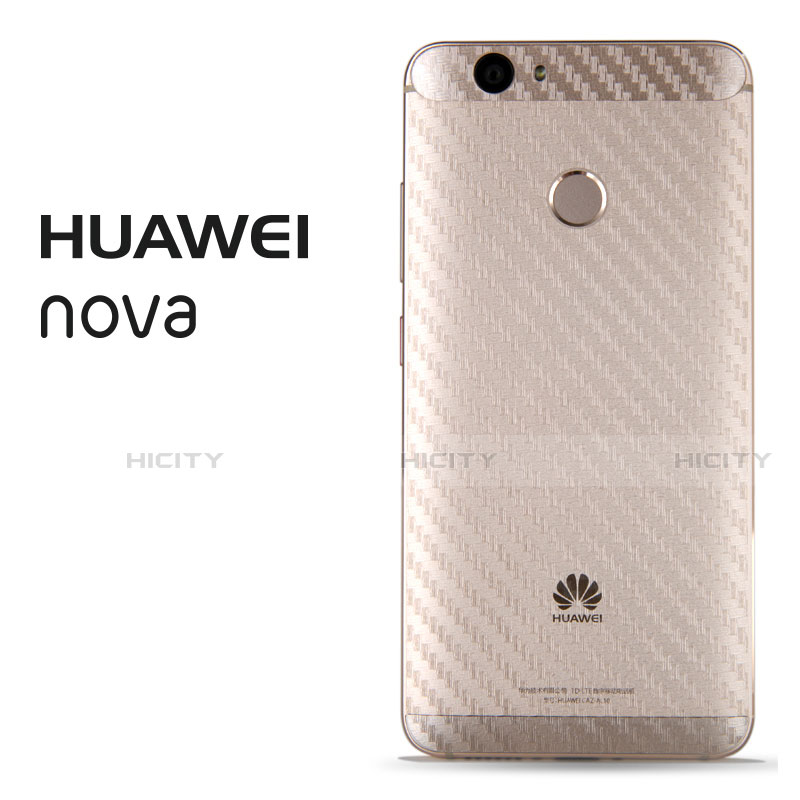 Huawei Nova用背面保護フィルム 背面フィルム B02 ファーウェイ クリア